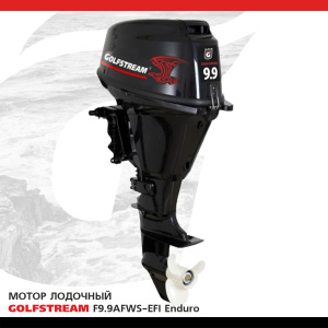 F9.9AFWS-EFI enduro F9.9AFWS-EFI enduro