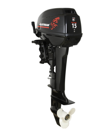 T15FWS