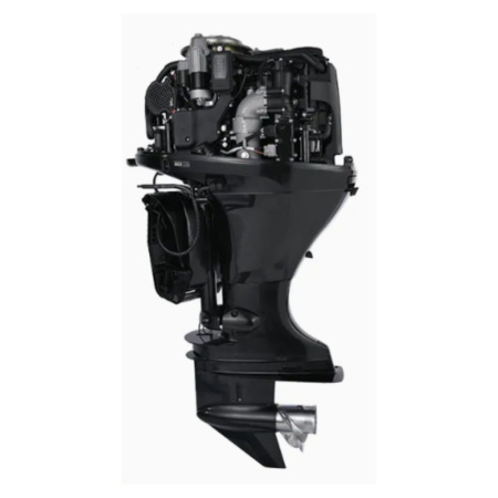 1 Мотор лодочный GOLFSTREAM F100FEL-T EFI