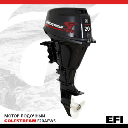 GOLFSTREAM F20AFWS EFI