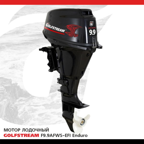 F9.9AFWS-EFI enduro F9.9AFWS-EFI enduro