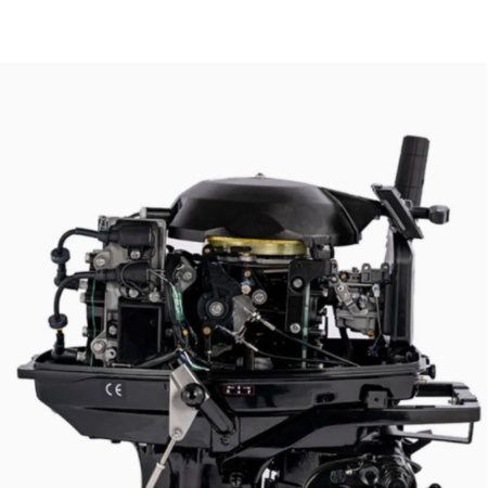 1 Мотор лодочный GOLFSTREAM T25BM JET