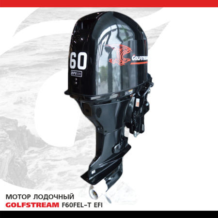 F60FEL-T EFI
