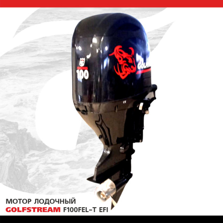 F100FEL-T EFI